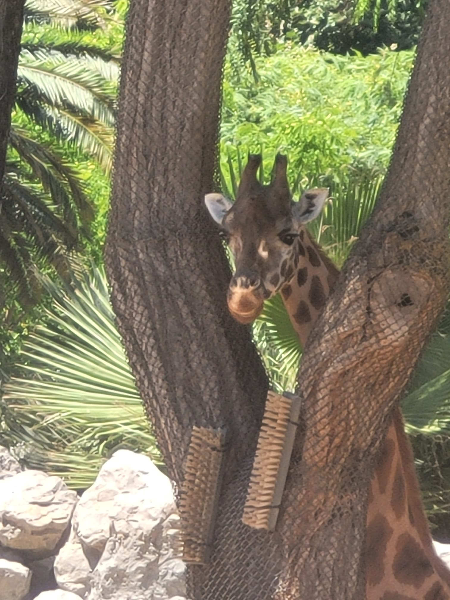 WhatsApp Image 2026-03-23 at 8.48.21 PM (1).jpeg